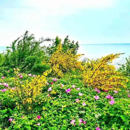 Keja Chlapowo * Władysławowo