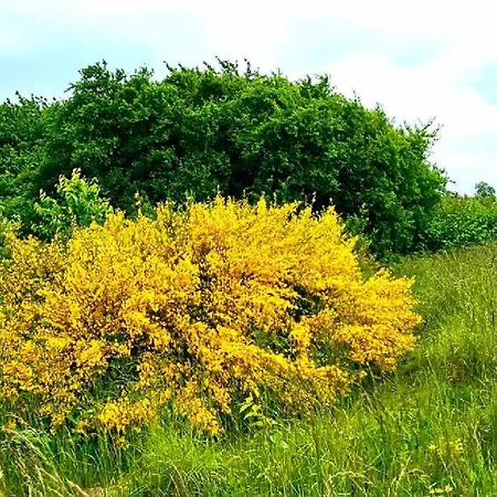 Keja Chlapowo Lodge *