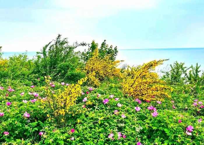 Keja Chlapowo * Władysławowo