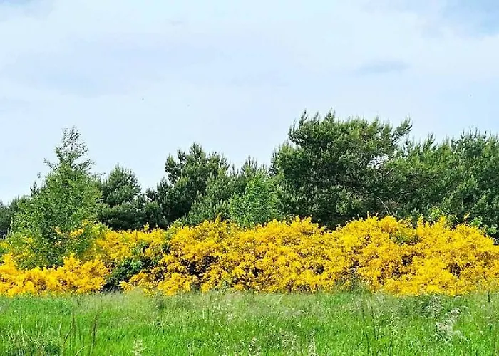 Chata Keja Chlapowo *